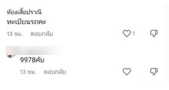 เลขทะเบียนรถ แมวอ้วนตกใส่รถ 1 มิถุนายน 2566