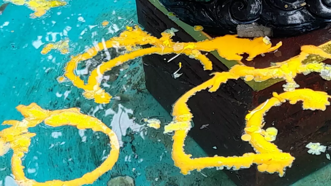 เลขอ่างน้ำมนต์ คำชะโนด 1 6 66