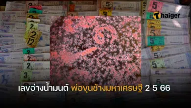 เลขเด็ด พ่อขุนช้างมหาเศรษฐี 2 5 66