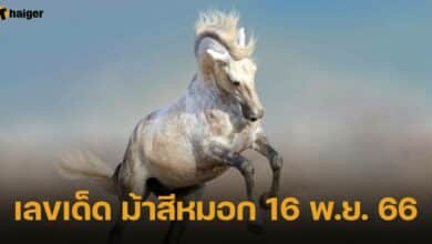 เลขเด็ด ม้าสีหมอก งวดนี้ 16 พ.ย. 66