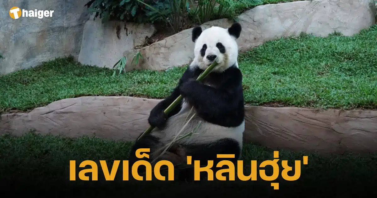 รวมเลขเด็ดงวดนี้ 2 5 66