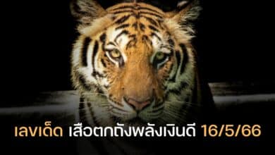 เลขเด็ด เสือตกถัง 16 5 66