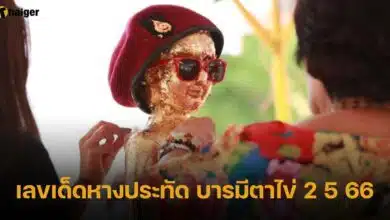 เลขเด็ดหางประทัด บารมีตาไข่ 2 5 66