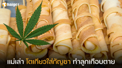 โตเกียวใส่กัญชา