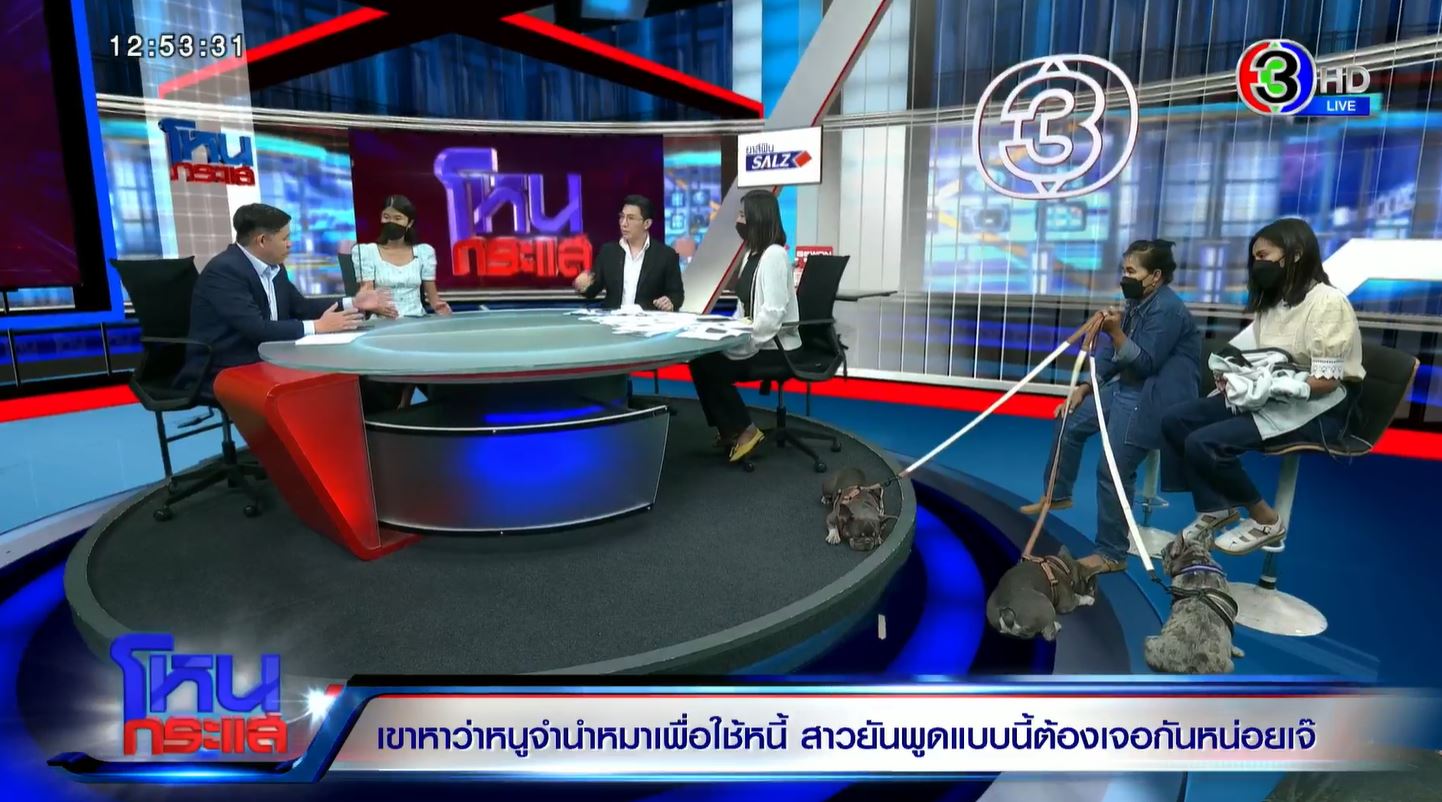 โหนกระแส หมา