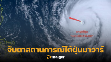 ไต้ฝุ่นมาวาร์