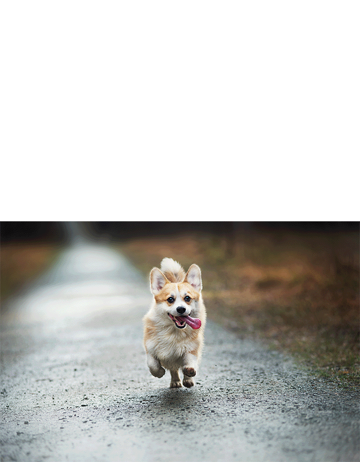 AI Generative Fill Photoshop