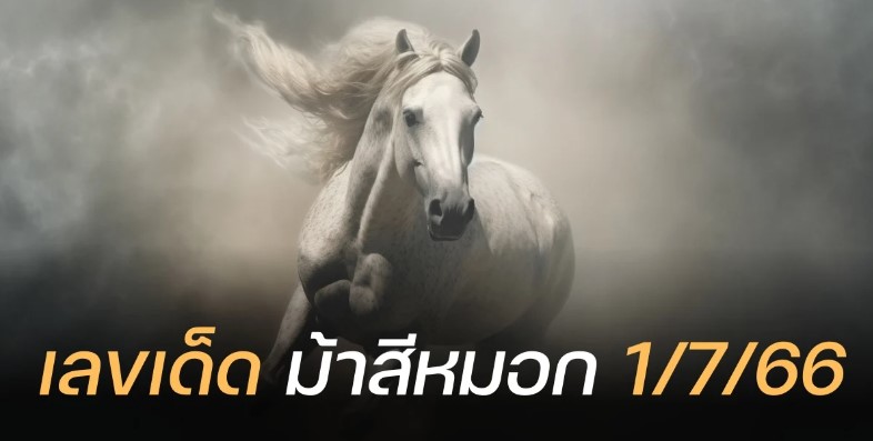 ตรวจหวย 1 กรกฎาคม 2566 ผลสลากกินแบ่งรัฐ