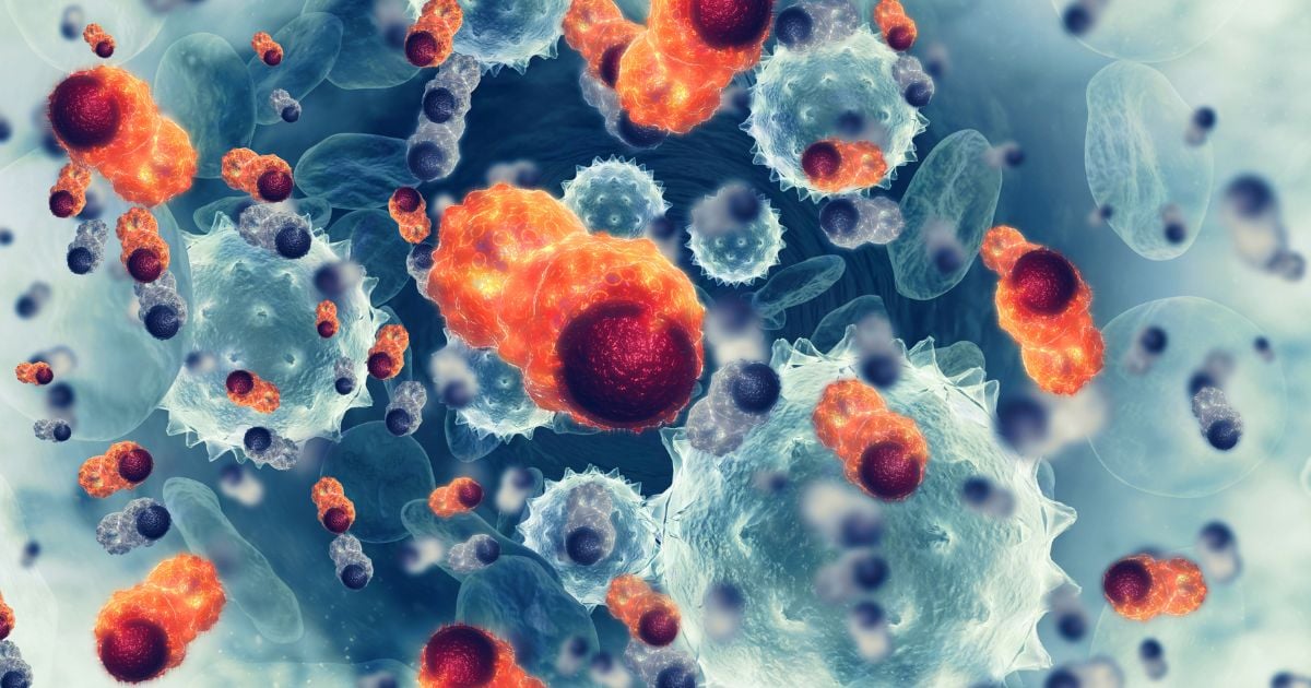 ประกันมะเร็ง FWD Easy E-Cancer คืออะไร