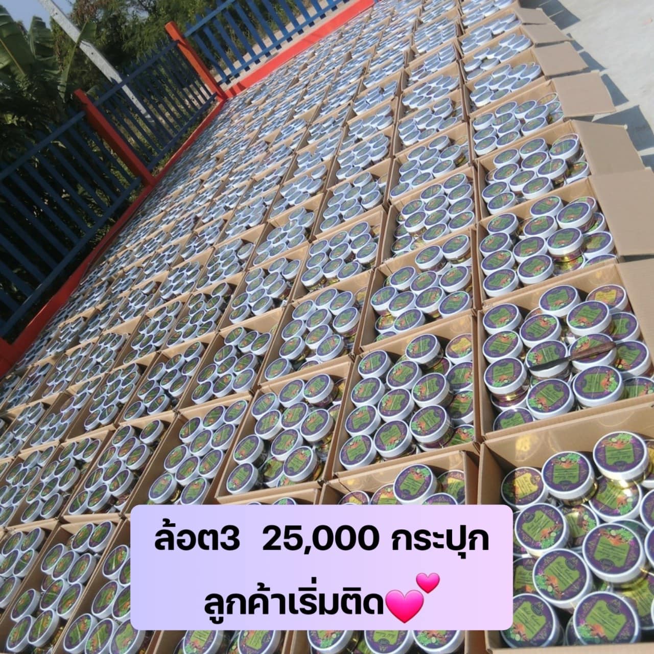 ประวัติ จ๊ะโอ๋ งามพริ้ง