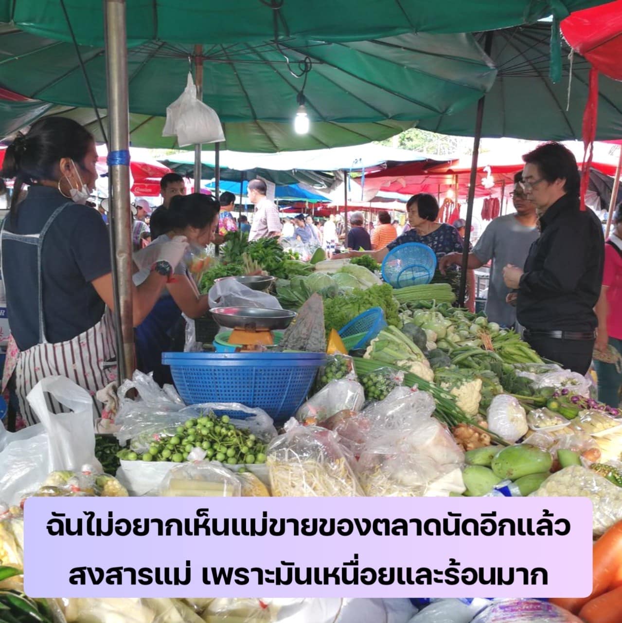 ประวัติ จ๊ะโอ๋ งามพริ้ง