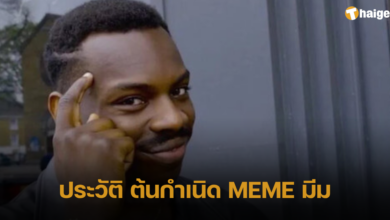 ประวัติ ต้นกำเนิด MEME มีม
