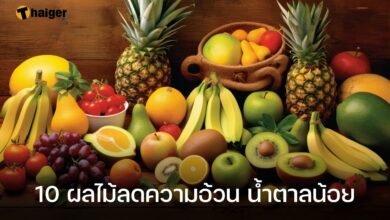 ผลไม้ลดความอ้วน 2023