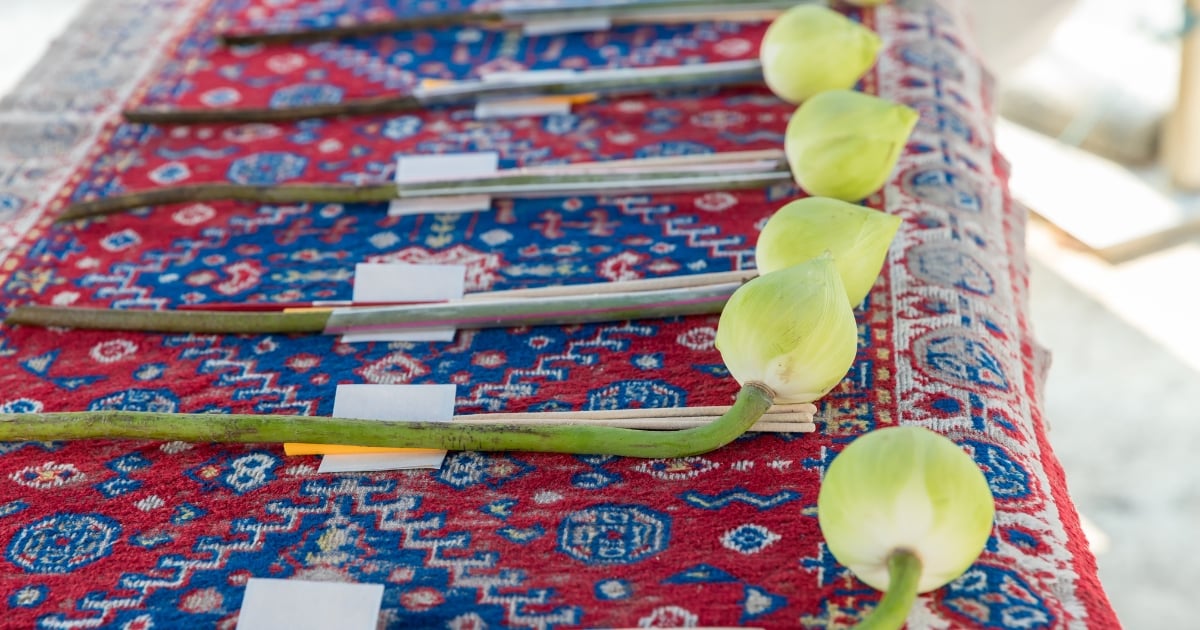 ฝันเห็นดอกบัวไหว้พระ