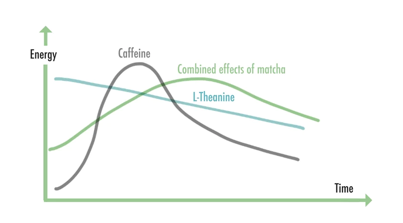 มัทฉะ กาแฟ