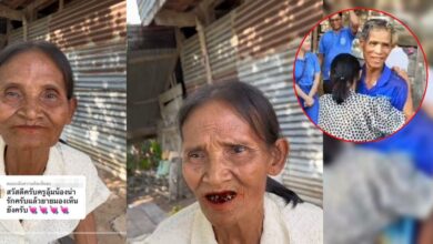 ย่าน้องเตยมองเห็น