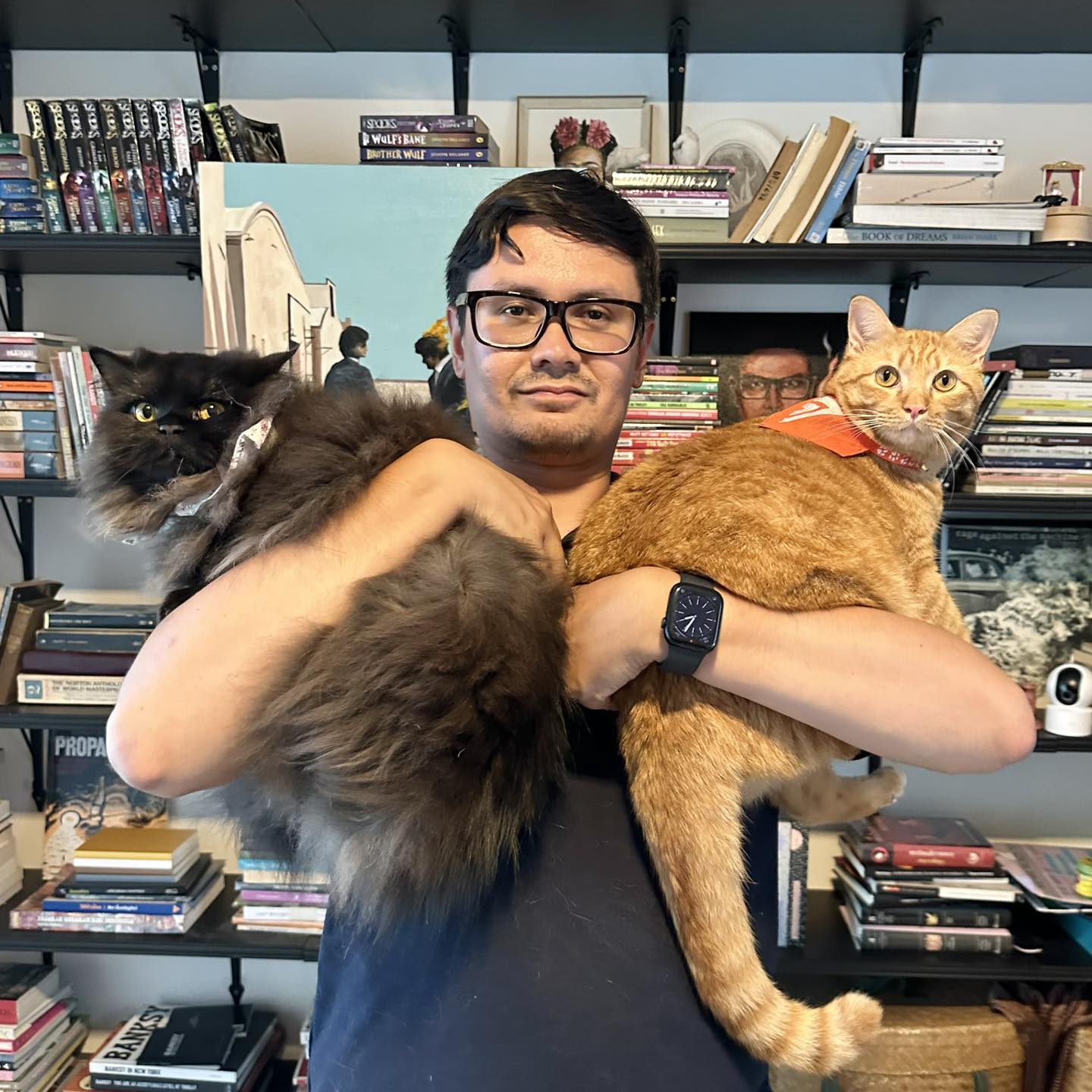 รังสิมันต์โรม เลี้ยงแมว