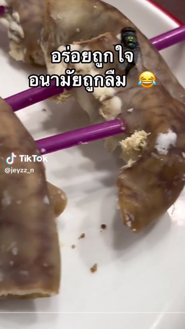 หม่าล่าสายพาน แมลงวัน