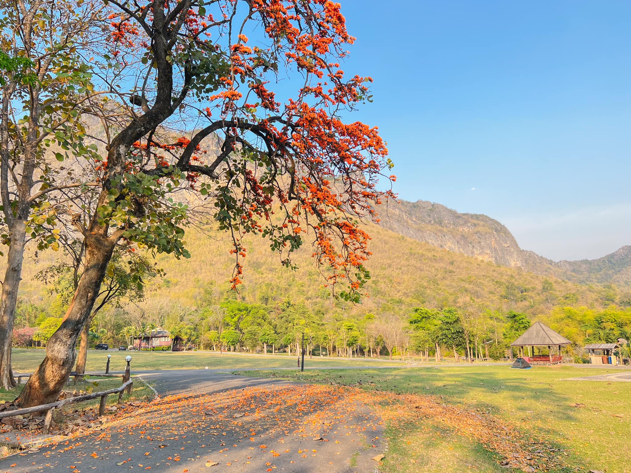 อุทยานแห่งชาติภูผาม่าน ที่เที่ยวขอนแก่น 2566