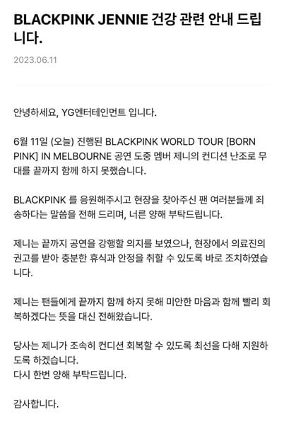 เจนนี่ BLACKPINK คอนเสิร์ต