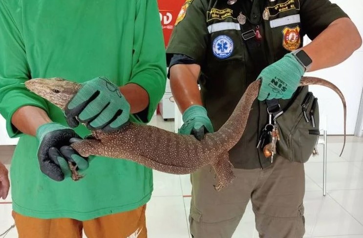 เลขเด็ด “ตัวเงินตัวทอง” บุกร้านปล่อยเงินกู้ 16 6 66