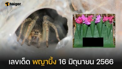 เลขเด็ด พญาบึ้ง 16 มิถุนายน 2566