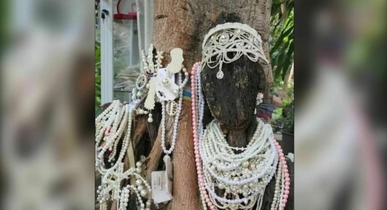 เลขเด็ด พี่สาวคนสวย 16 6 66