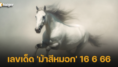 เลขเด็ด 'ม้าสีหมอก'