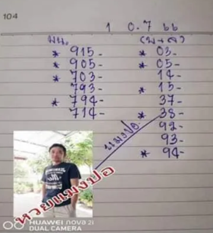 เลขเด็ด หวยแมงปอ 1 7 66