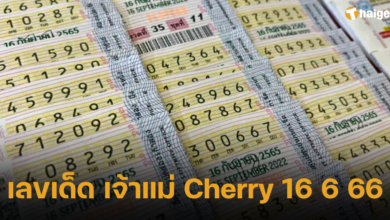 เลขเด็ด เจ้าแม่ Cherry 16 6 66