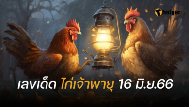 เลขเด็ด ไก่เจ้าพายุ 16 6 66