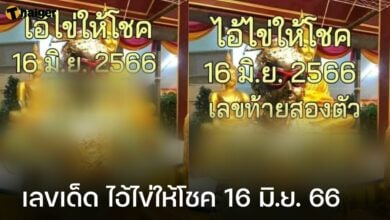 เลขเด็ด ไอ้ไข่ให้โชค 16 6 66