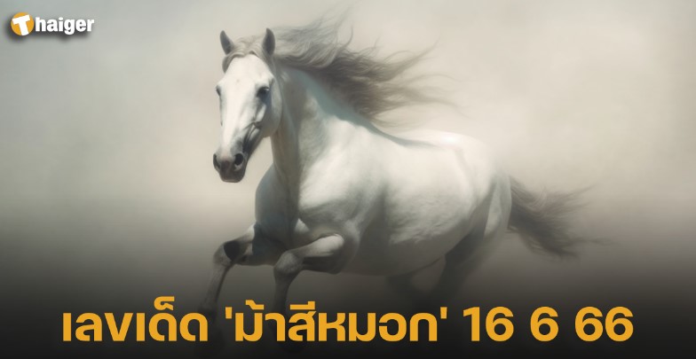 เลขเด็ด ‘ม้าสีหมอก’ 16 6 66