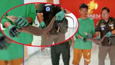 เลขเด็ด ตัวเงินตัวทองบุกร้านเงินกู
