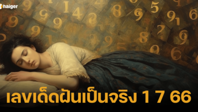 เลขเด็ดฝันเป็นจริง 1 7 66 (1)