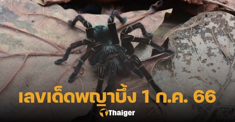เลขเด็ดพญาบึ้ง 1 7 66
