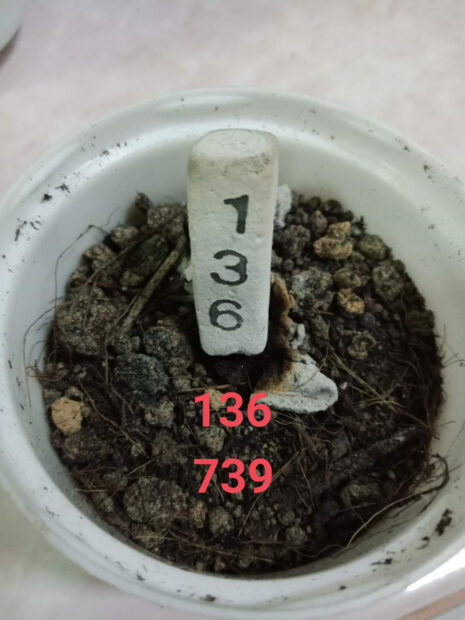 เลขเด็ดไอ้ไข่ 16 6 66