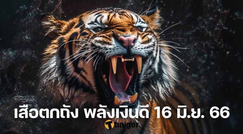 เสือตกถัง พลังเงินดี 16 6 66