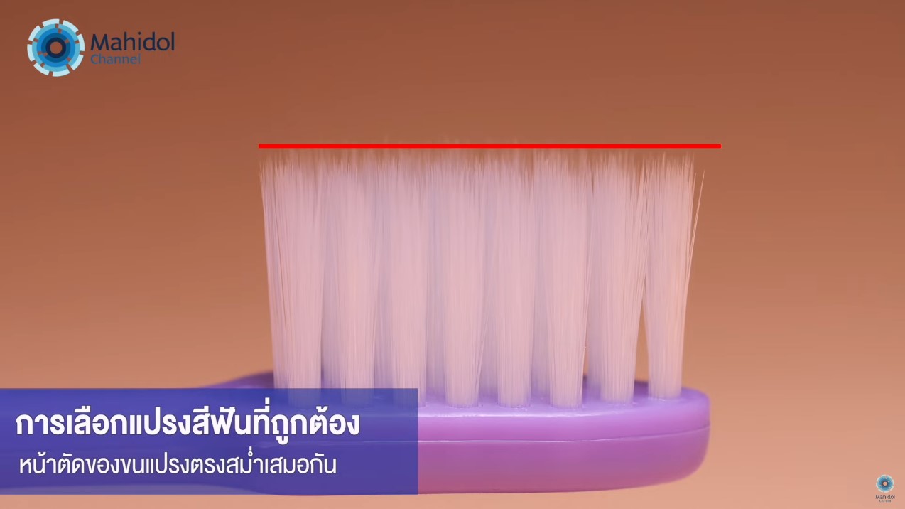 แปรงสีฟัน อ.เจษฎ์