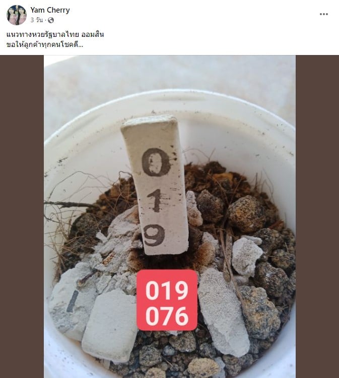 ‘เจ้าแม่ Cherry’ จุดเลขธูปไอ้ไข่ 1 7 66