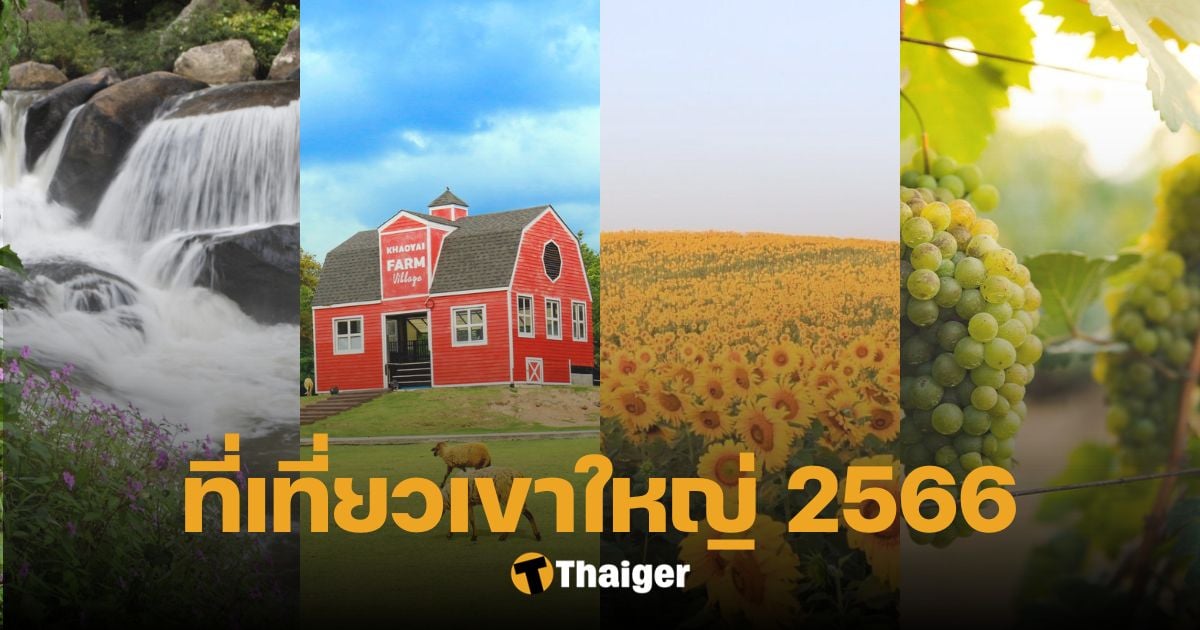 แนะนำ 10 ที่เที่ยวเขาใหญ่ เที่ยวชมไร่ ถ่ายรูปดอกไม้ เดินเล่นในสวน 2566 |  Thaiger ข่าวไทย