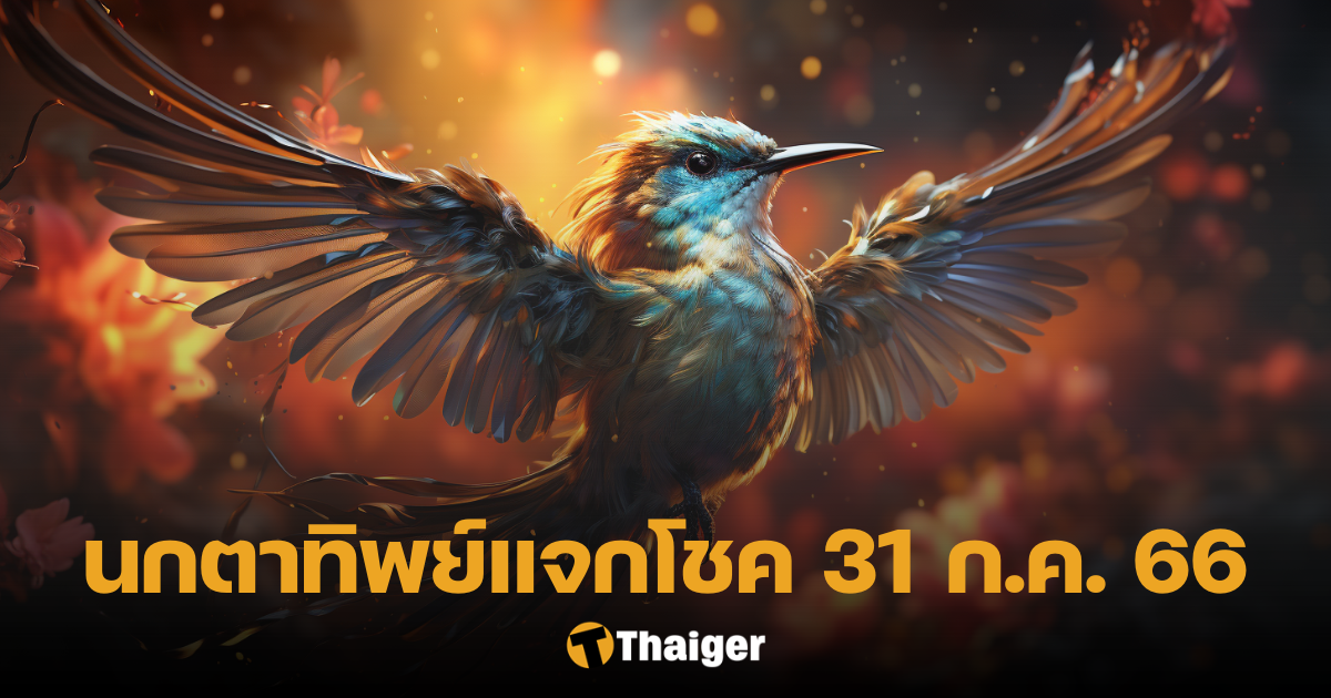 นกตาทิพย์ กระพือปีกให้โชค เลขเด็ด 31 7 66 คาถาไหนก็ไม่สู้แนวทางนี้ | Thaiger ข่าวไทย