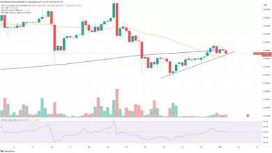 การฟื้นตัวของ Ripple XRP (1)