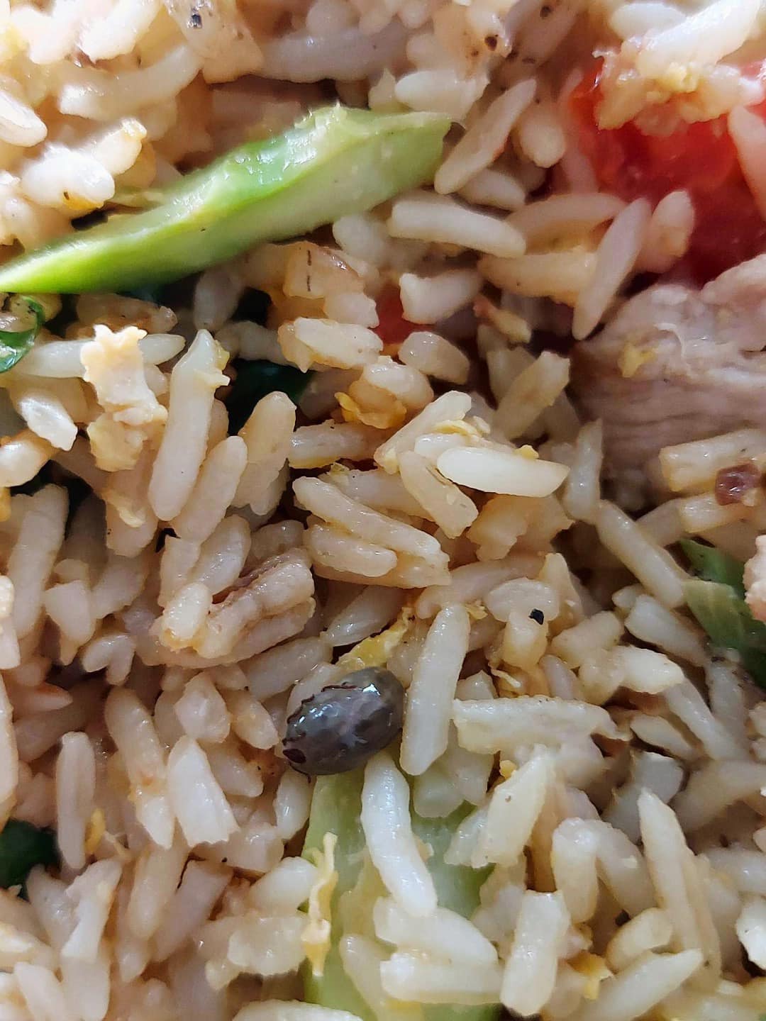 ข้าวผัด เห็บหมา