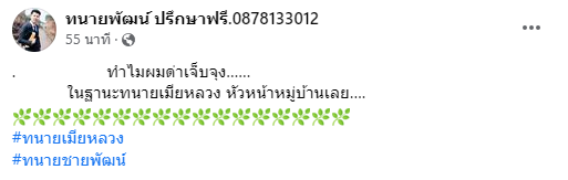 ทนายชายพัฒน์