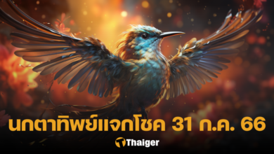 นกตาทิพย์ 31 7 66