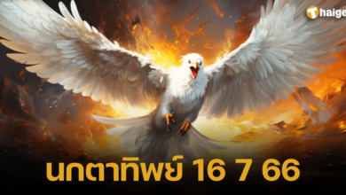 นกตาทิพย์ ใบ้หวยงวด 16_7_66
