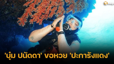 'บุ๋ม ปนัดดา' ขอหวย 'ปะการังแดง' 16 7 66