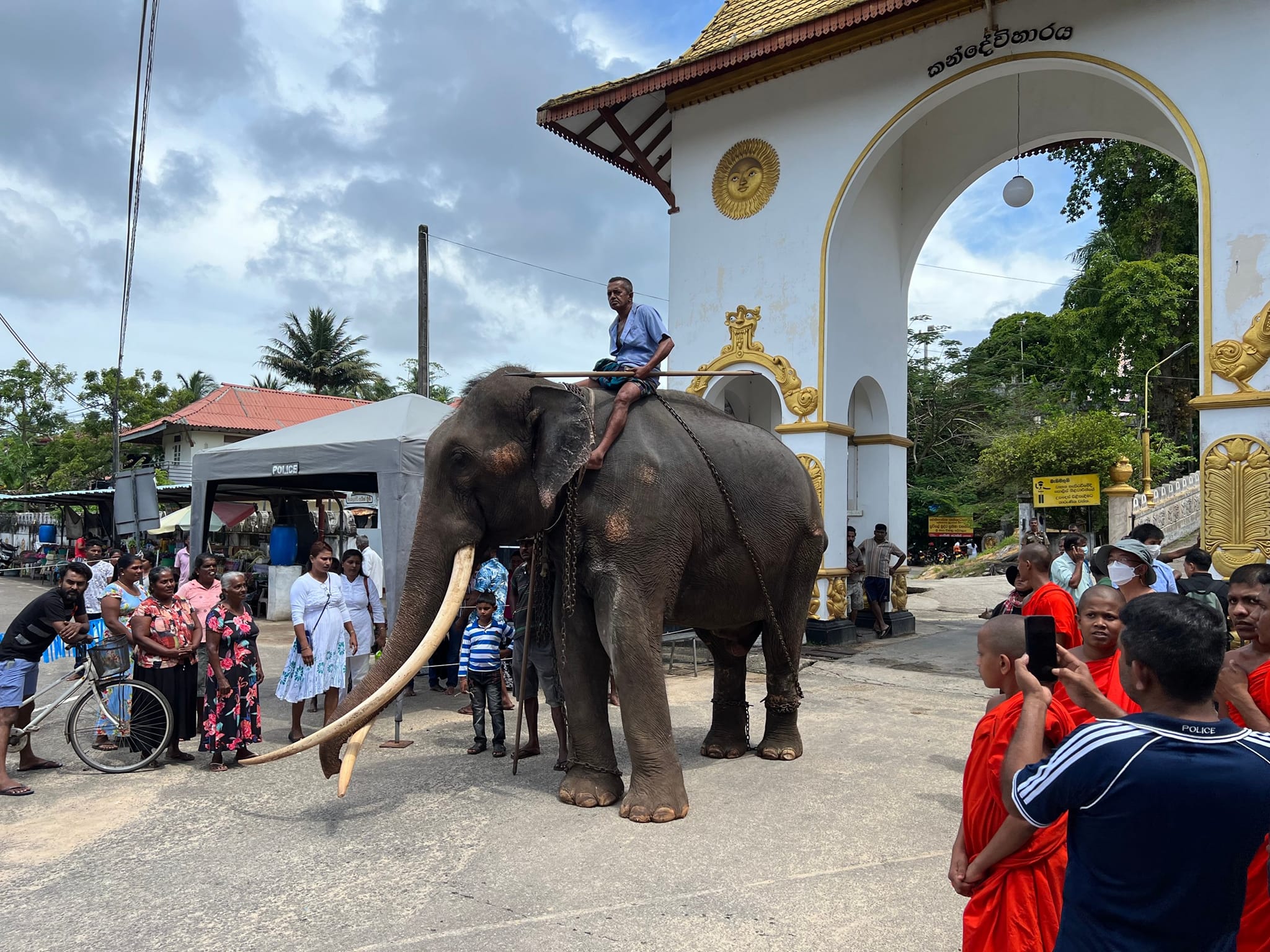 ประวัติ พลายศักดิ์สุรินทร์ กลับไทย 2566