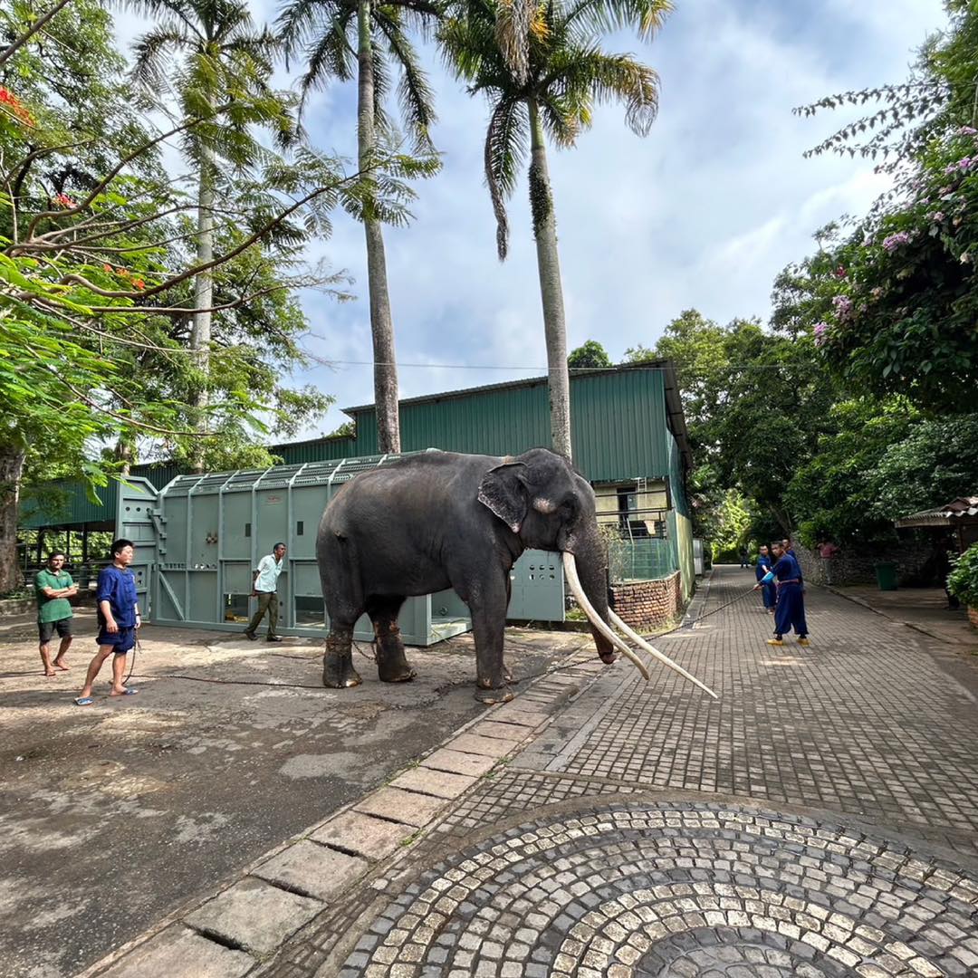 ประวัติ พลายศักดิ์สุรินทร์